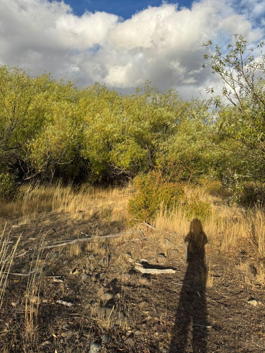 Chacra Costa Río Percy Trevelin