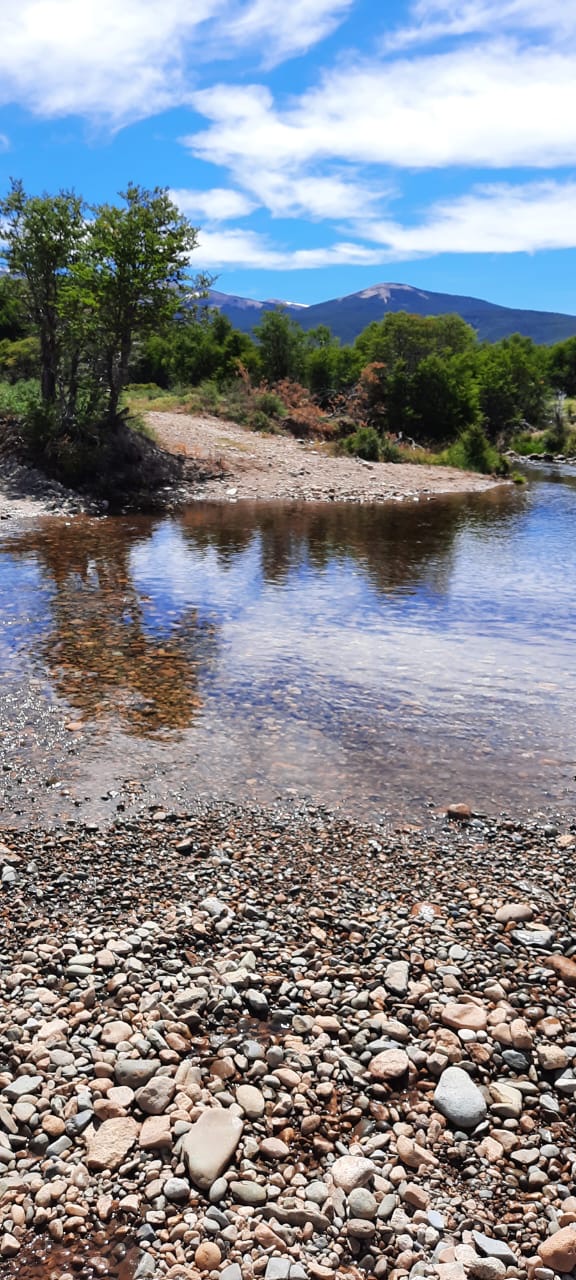 Campo en Río Pico